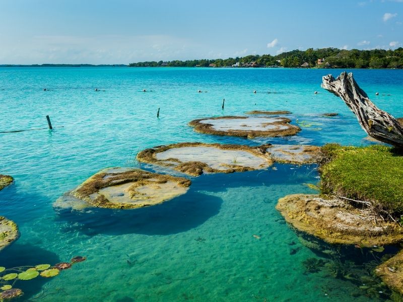 Viaggio nello Yucatan